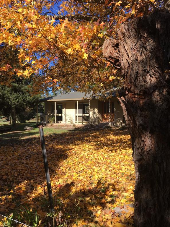 The Rocks Apartments Halls Gap Eksteriør bilde